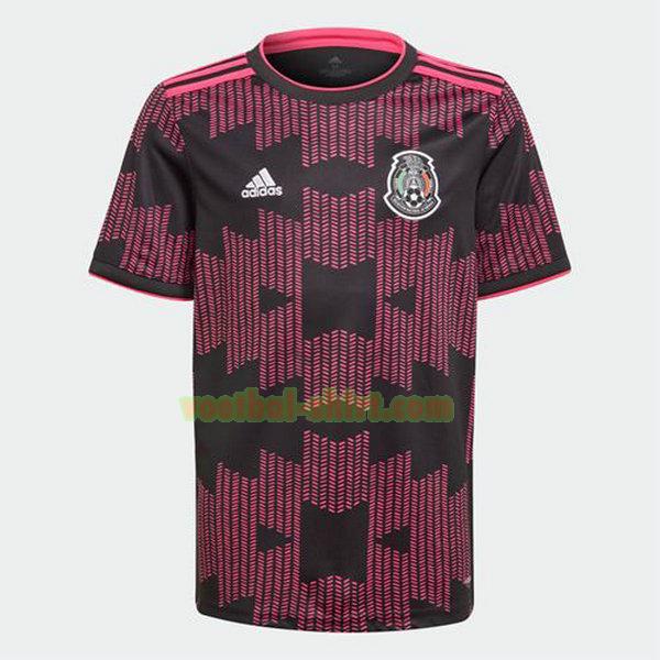 mexico thuis shirt 2021 2022 purper mannen