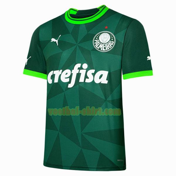 palmeiras thuis shirt 2023 2024 thailand groen mannen