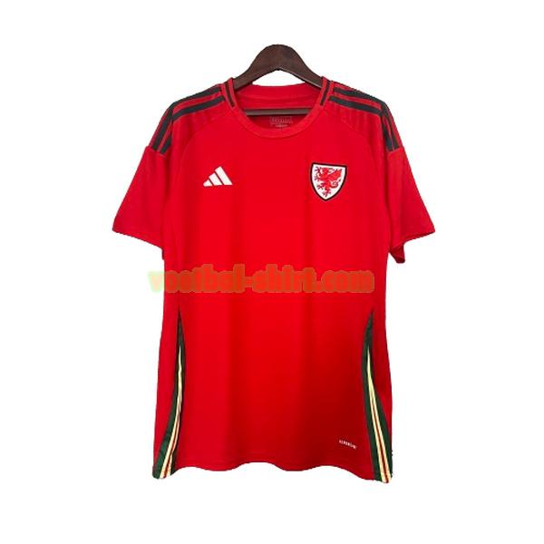 wales thuis shirt 2024 thailand blauw wit mannen